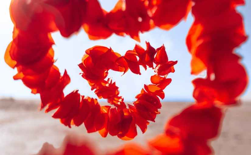 LOVE WITHOUT BORDERS