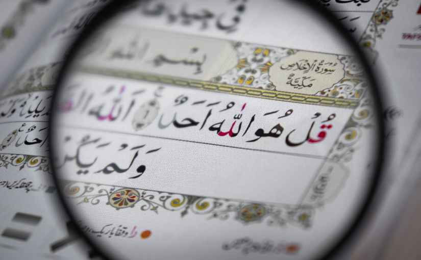 FRESH AND GREAT&nbsp;REVELATIONS